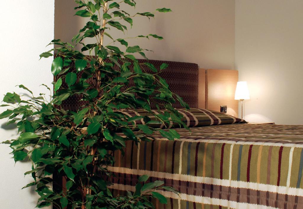 Hotel Santo Stefano Pieve Santo Stefano Δωμάτιο φωτογραφία